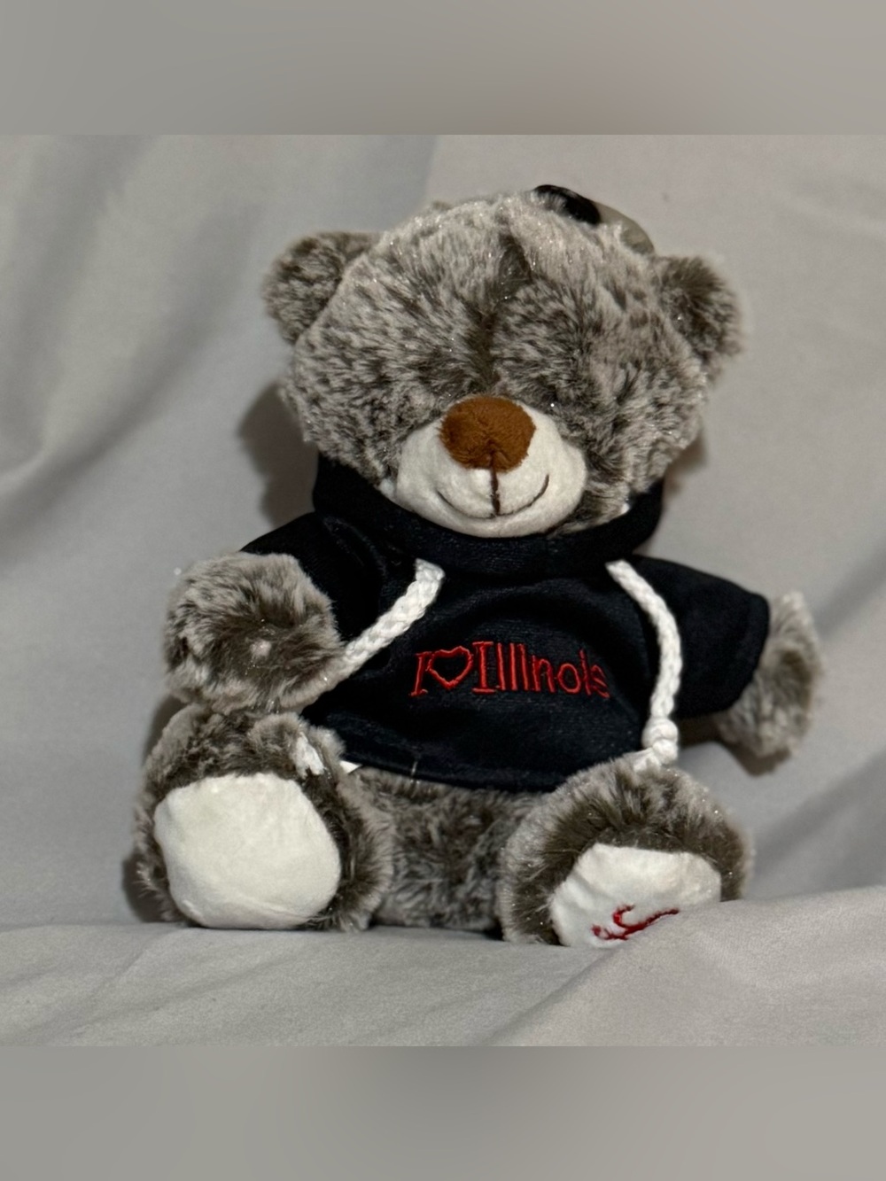 NWT Stuffed Teddy Bear with Navy Blue Illinois Hoodie